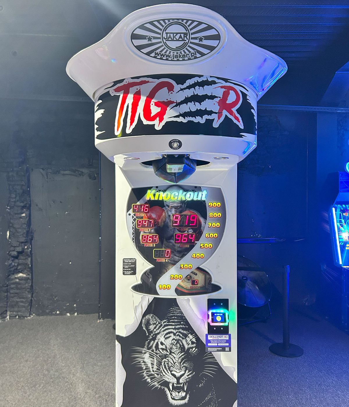 Boxer-1